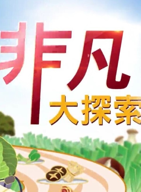 新流出酒店偷拍和媳妇闺蜜开房偷情各种姿势草简直就是活春宫 - 绅士影院